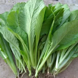 CẢI XANH