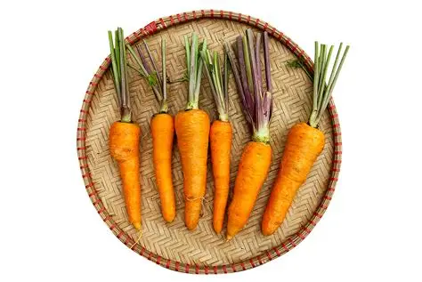 CÀ RỐT CỌNG TÍM